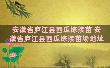 安徽省庐江县西瓜嫁接苗 安徽省庐江县西瓜嫁接苗场地址